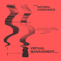 Funky Alliance - Vema Diodes & Virtual Management