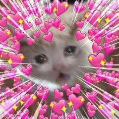 Les Anjolok - My Island Girl