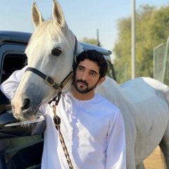 Fazza Mashup (exclusive)