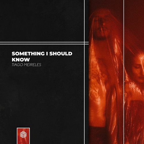 Tiago Meireles - Something I Should Know