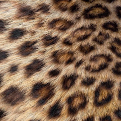 6. X EL MOVIL ft LA CHISMOTEKA