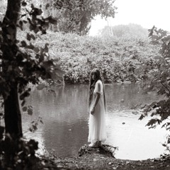 the only way to kill the butterfly