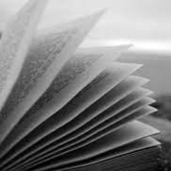 L'OMBRE D'UN LIVRE QUI SE FERME