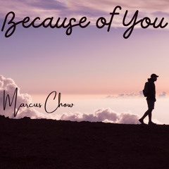 Because of You - Piano Instrumental