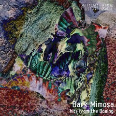 Dark Mimosa - Hits from the Boeing [11.10.2023]