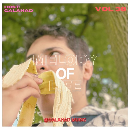 Melody of Life 38 - Galahad Bedroom Mix ✌️