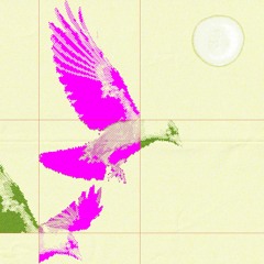 The pursuit of the continental bird for the short cucumber lies on the morale of the abnormality