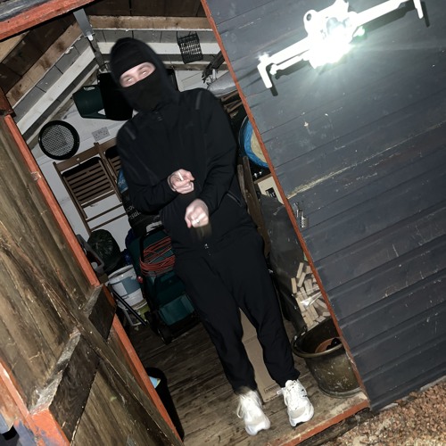 Ninja Assassin