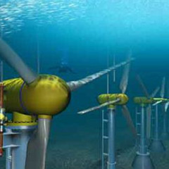 fuck d'em vegánz 🇭🇺🇭🇺🇭🇺