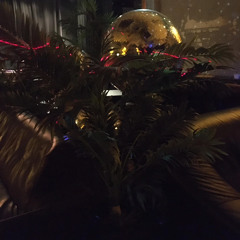 Ambient Christmas (Experimental + Jazz + Classical)SET