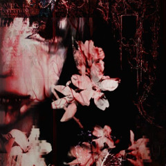 MURDER
