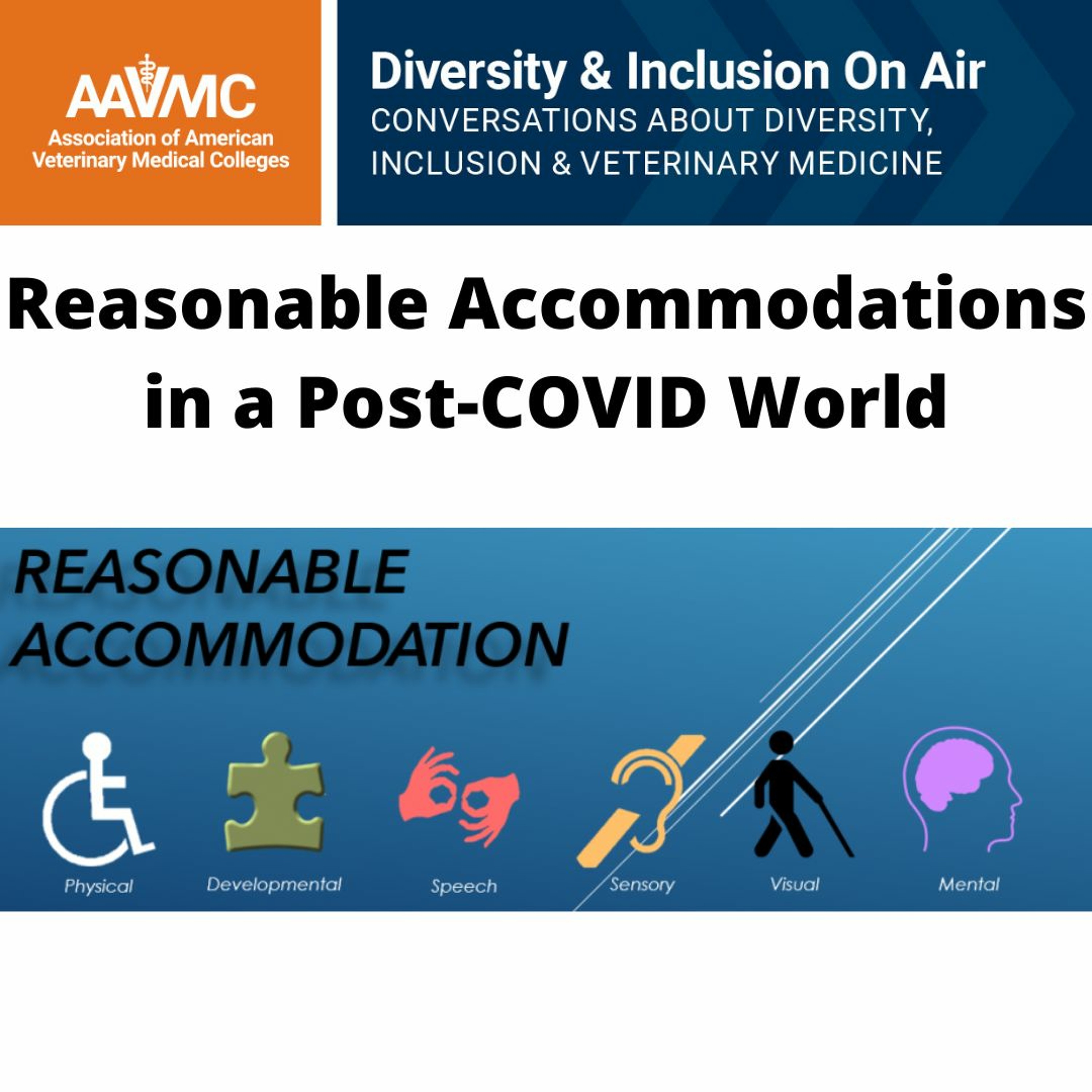 AAVMC\'s On Air: Conversations about Issues in Veterinary Medicine
