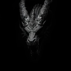 Dragon In The Dark