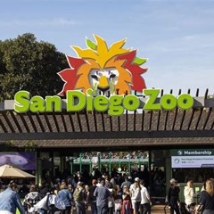 Kindly Ship Me  to the Zoo