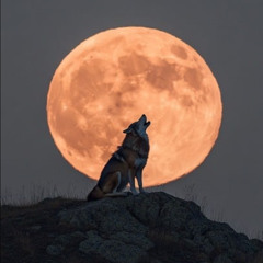 pray to moon (prod.chxsen)