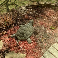 Trouble Weighs A Ton (Dan Auerbach Cover)