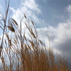 Are Man Divounam Live (Amin Ghobad)