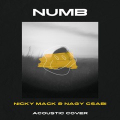Numb (Acoustic cover)