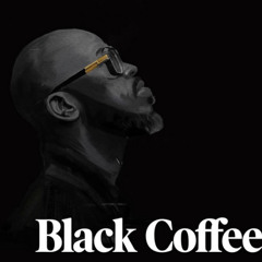 BLACK COFFEE style | AFRO HOUSE DJ SET #2 | by BROWN PERRY