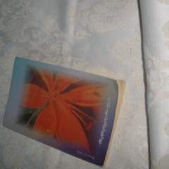 𝕬𝕯𝕺𝕽𝕰 𝖀 - 𝕵𝖀𝕾𝕿𝕰𝕹𝕯 & 𝕷𝕺𝕰4𝕿˖°.