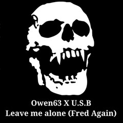 Leave me alone (Fred Again) Owen63 X U.S.B I pologize for posting without asking for permission
