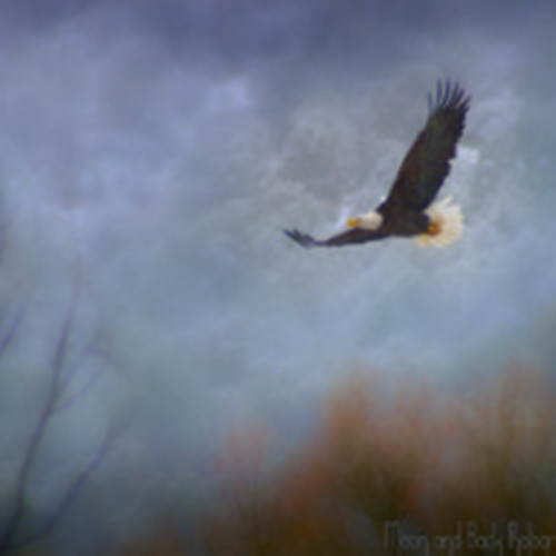 HIGH AGAINST A CLOUD