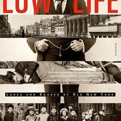 free read✔ Low Life: Lures and Snares of Old New York