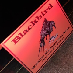 live country