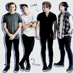 "Wildflower" - 5 Seconds of Summer | Spicy Acoustic Cover