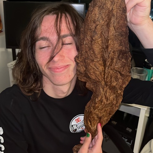 Do my thing w xul prod try1