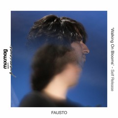 PREMIERE : Fausto - Walking  On Blooms [Self Release]