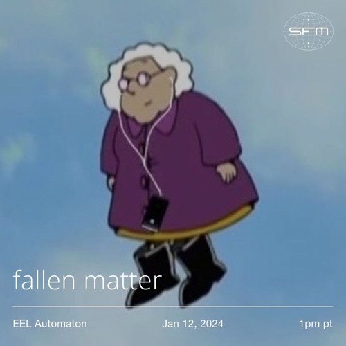 EEL Automaton 11: fallen matter