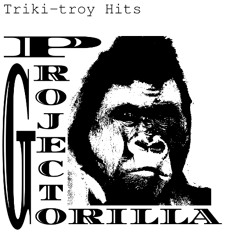 PROJECTO GORILLA