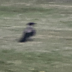 "Do Your Own Thing!" | 104 bpm, C major