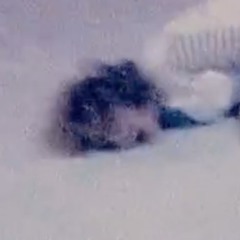 figura.03_(amoeldinerofiestadelanzamiento)29_12_2023_noidnotransicionesnoflips