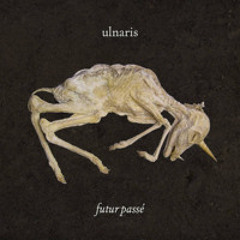 Ulnaris - Robo Beau (from Futur Passé, 2024)