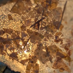 remix.needii.Bass Breaks Downtempo(11).m4a