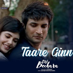 Taare Ginn (AR Rahman~Mohit Chauhan~Shreya Ghoshal) Cover
