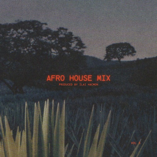 Afro House Mix (Vol 3)