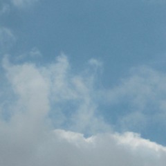 Steel Birds (Slow Pulp cover)