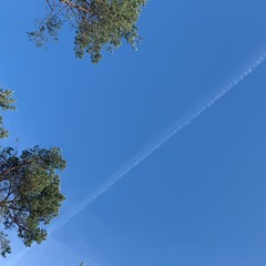 Sarita & Marcel - Edge Of Great