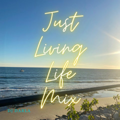 DJ Darla - Just Living Life Mix (hip-hop/rap/r&b)