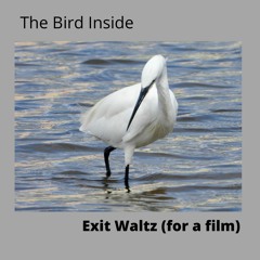 EXIT WALTZ (FOR A FILM)