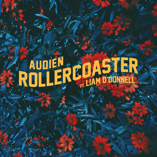 Audien rollercoaster