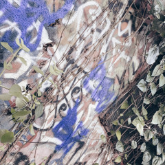 ELEOCH L NGALEK VEMA