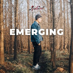 Antarctic Wastelands & Be Still The Earth & Hollie Kenniff - Emerging
