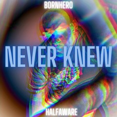 Never Knew (prod. Bornhero) (remixed and mastered for the millionth time)
