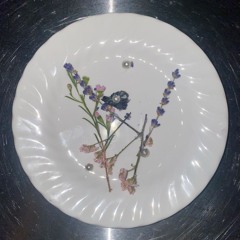 nicenap @ rare feelings 10.19.24