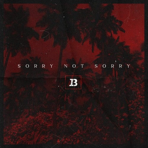 Ivan B - Sorry Not Sorry