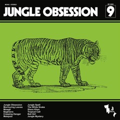 Nino Nardini & Roger Roger - Jungle Obsession (snippets)